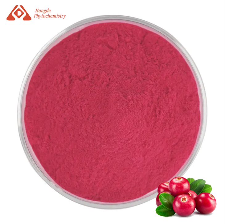 Organisk lingonberrypulver