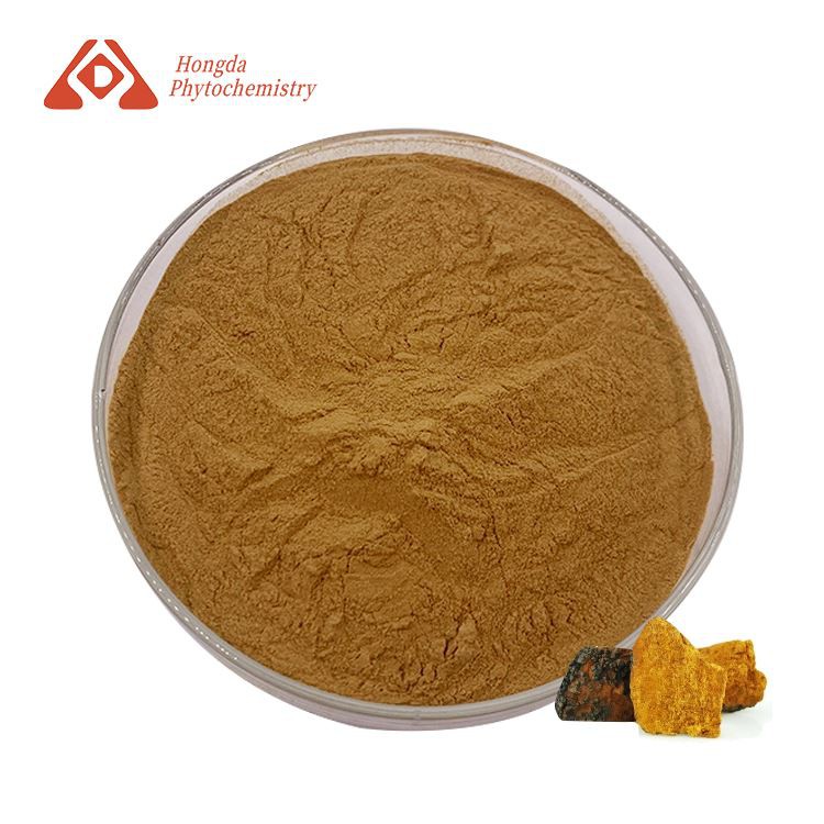 Wild Chaga Extract Powder